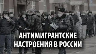 Почему в России набирают обороты антимигрантские настроения?
