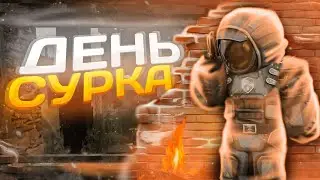 ДЕНЬ СУРКА | STALCRAFT