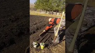 #Сад
