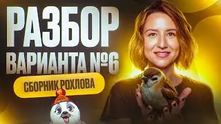 Разбор 6 варианта | Сборник Рохлова | Новости ЕГЭ по биологии | ЕГЭ по биологии 2025