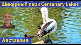 Глоток свежести в парке Centenary Lakes (видео 218)