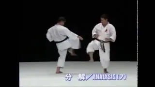 Рюэй рю Бункай ката Пайку
