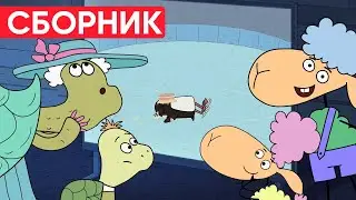 Отель у овечек | Сборник отличных серий | Мультфильмы для детей😃