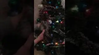 прикол коса плавает