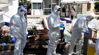 Куда веде нас Омикрон?