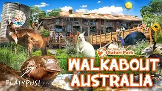 Zoo Tours: Walkabout Australia | San Diego Zoo Safari Park