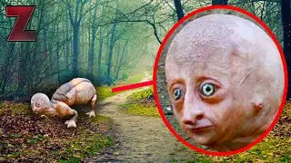 10 ЖУТКИХ МОНСТРОВ, живущих рядом с тобой!