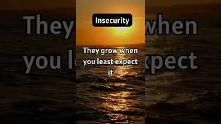 Don't allow insecurities to grow...