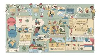 The climate-nutrition nexus: linkages and implications