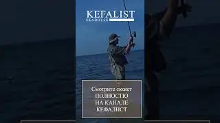Особенности  РЫБАЛКИ НА КЕФАЛЬ В ЗАБРОД или как ловить кефаль на Черном море