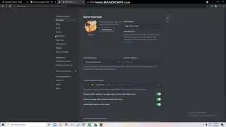 How to Make DropDown Roles Bot! Easy no Coding(24/7)!