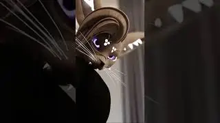 #macro