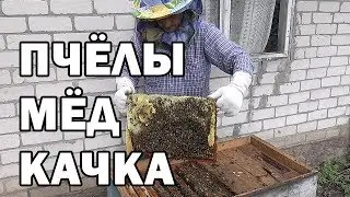 ОТКАЧКА МЁДА как я качаю мед как откачать мед Пчелы Пчелиная ферма