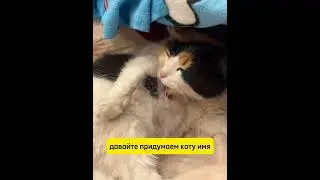 Как назовем?
