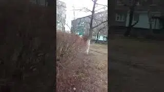 Отчий дом и моё детство