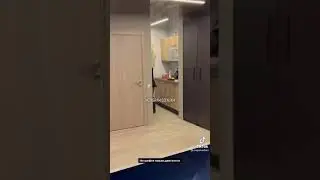 Литвин +вадяной пестолет