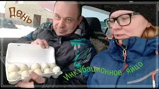 Подгатовка и закладка куриных, утиных и гусиных яиц в инкубаторы. Одзыв инкубаторов блиц и несушка.