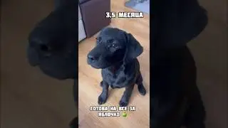 Зайку мы не учили😜