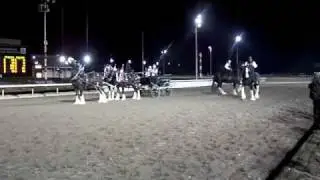 Exhibicion de UNICORNIO 2009 - Caballos Gigantes