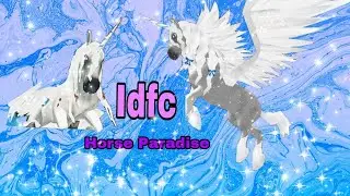 Клип idfc в ( Horse Paradise).