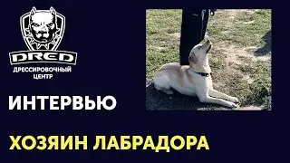 Интервью с хозяином лабрадора | Советы по кормлению и уходу