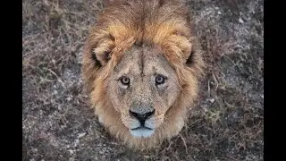 #паркльвовтайган