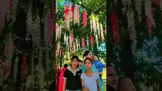 didi_bahini 