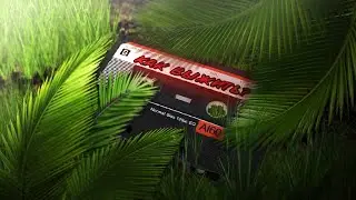 Как выжить? ( Green Hell )