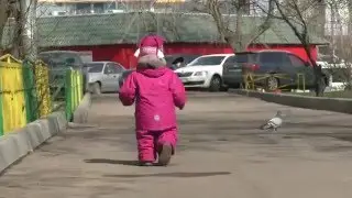 Как Ясмин Мейрович голубей кормила