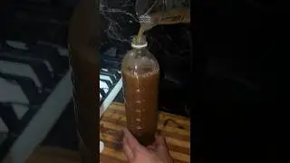 Бодрящий древний квас