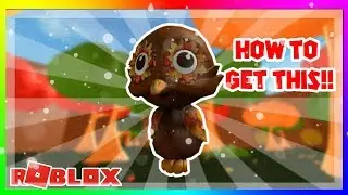 HOW TO GET NEW AUTUMN OWL! (ROBLOX)