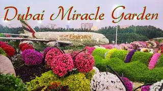 Miracle Garden