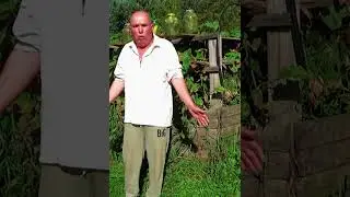 Сад и огород.Как бабушка придумала построить парник 