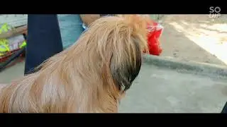 Friend of chambe cute