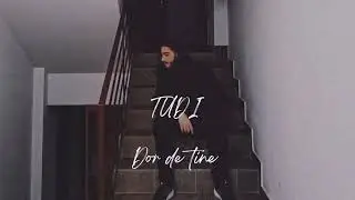 TUDI - Dor De Tine | Official Audio