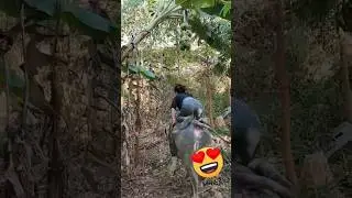 Super Gokil❗🤣 Warga 62 Kocak Parah #funny #lucu #tiktok #shorts #viral #fyp  #guyonguyonchannel