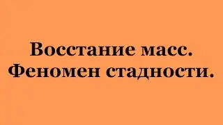 Восстание масс. Феномен стадности. (2023-06-10)