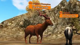 The Wolf - Addax Champion In Featured Dark Forest 🏆