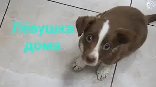 Помогите оплатить долг за клинику🙏