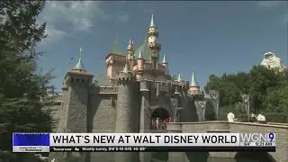 What's New at Walt Disney World