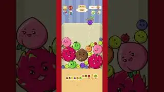 Melon Drop New record #gameplay