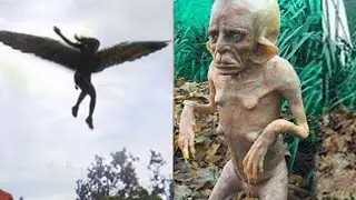 Если Бы Существо Не Сняли На Камеру Никто Бы Не Поверил!