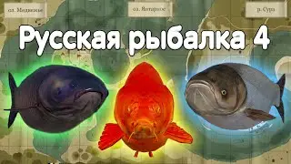 Бот в русской рыбалке 4 - 