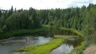 река Золотица