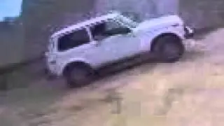 NIVA