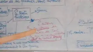 Vidéo 1:دروس دعم للغة الفرنسية للتلاميذ المقبلين على اجتيازإمتحان  الباكالوريا