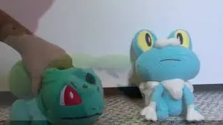 Pokemon Plush (the new world)