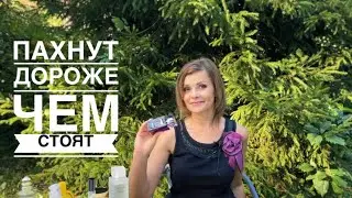 БЮДЖЕТНЫЕ АРОМАТЫ, ПАХНУТ ДОРОЖЕ, ЧЕМ СТОЯТ