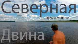 Голавль проснулся.