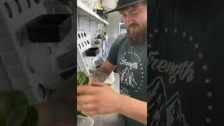 Салат Кранчита 32 дня